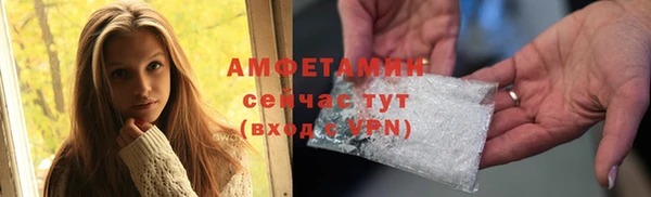 mdpv Вяземский